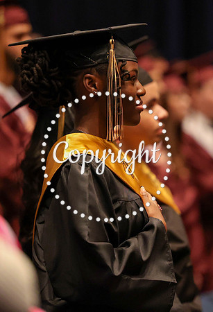 Nikki Grad Photos 2025-6