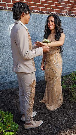 Niece 2025 Prom-6