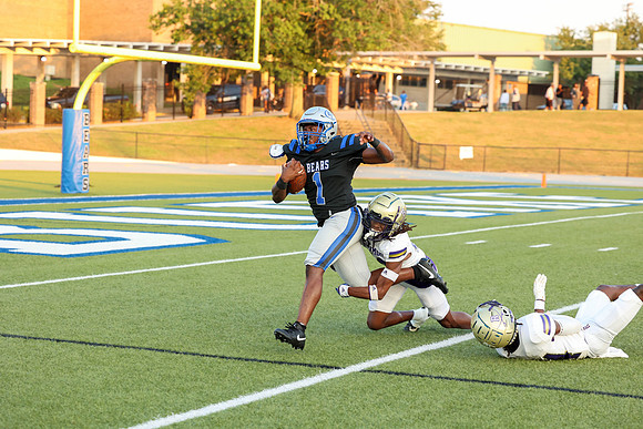 BEARS-8