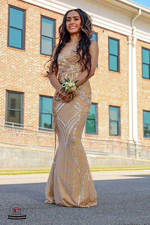 Niece 2025 Prom-31