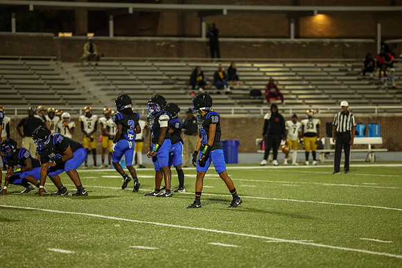 Bears-44
