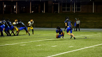 Bears-19