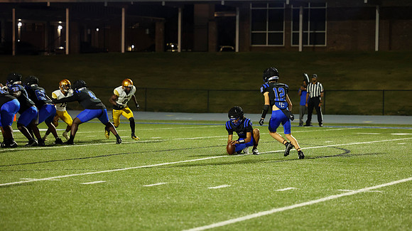 Bears-19