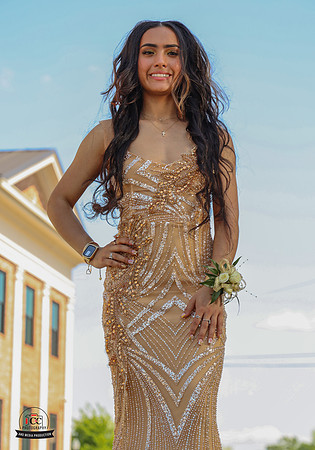 Niece 2025 Prom-32