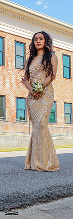 Niece 2025 Prom-30