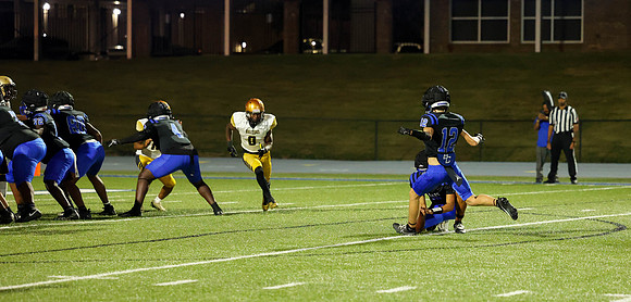 Bears-20