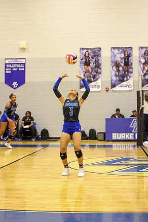 BC lady vb-31