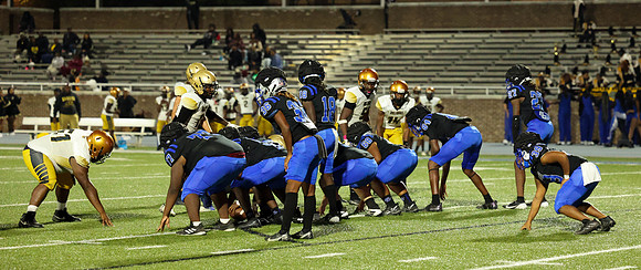 Bears-119