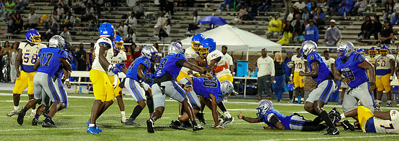 BEARS-29