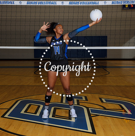 Lady Bears V-Ball-64