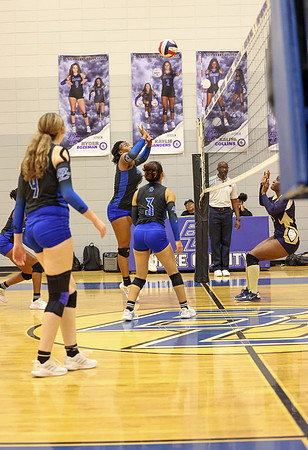 BC lady vb-23