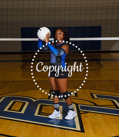 Lady Bears V-Ball-54