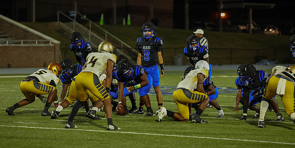 Bears-54