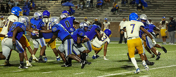 BEARS-39