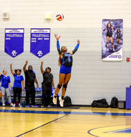 BC lady vb-6