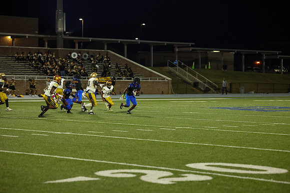 Bears-31