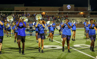 BAND-15