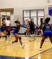 BC lady vb-16