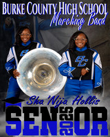 Sha'Nija Hollis