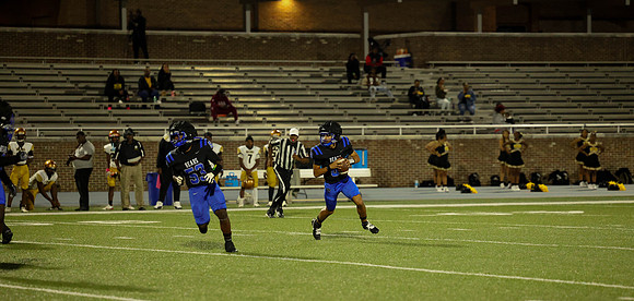 Bears-40