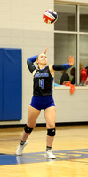 BC lady vb-3