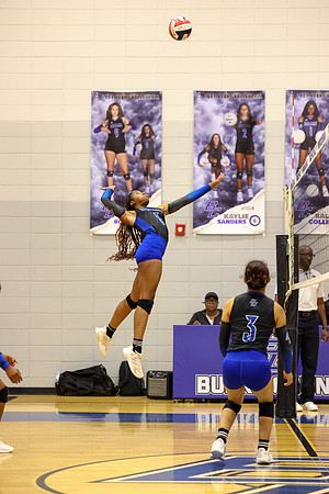 BC lady vb-34